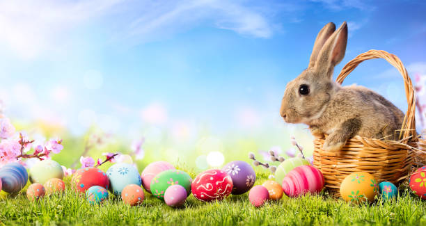a 'hopping good' Easter raffle